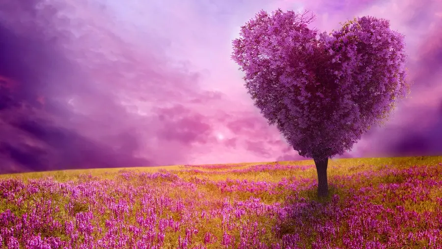 فصل بهار
