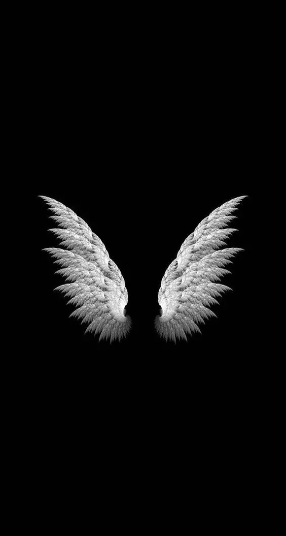 هایلایت استوری اینستاگرام طرح بال های سفید رنگ فرشته