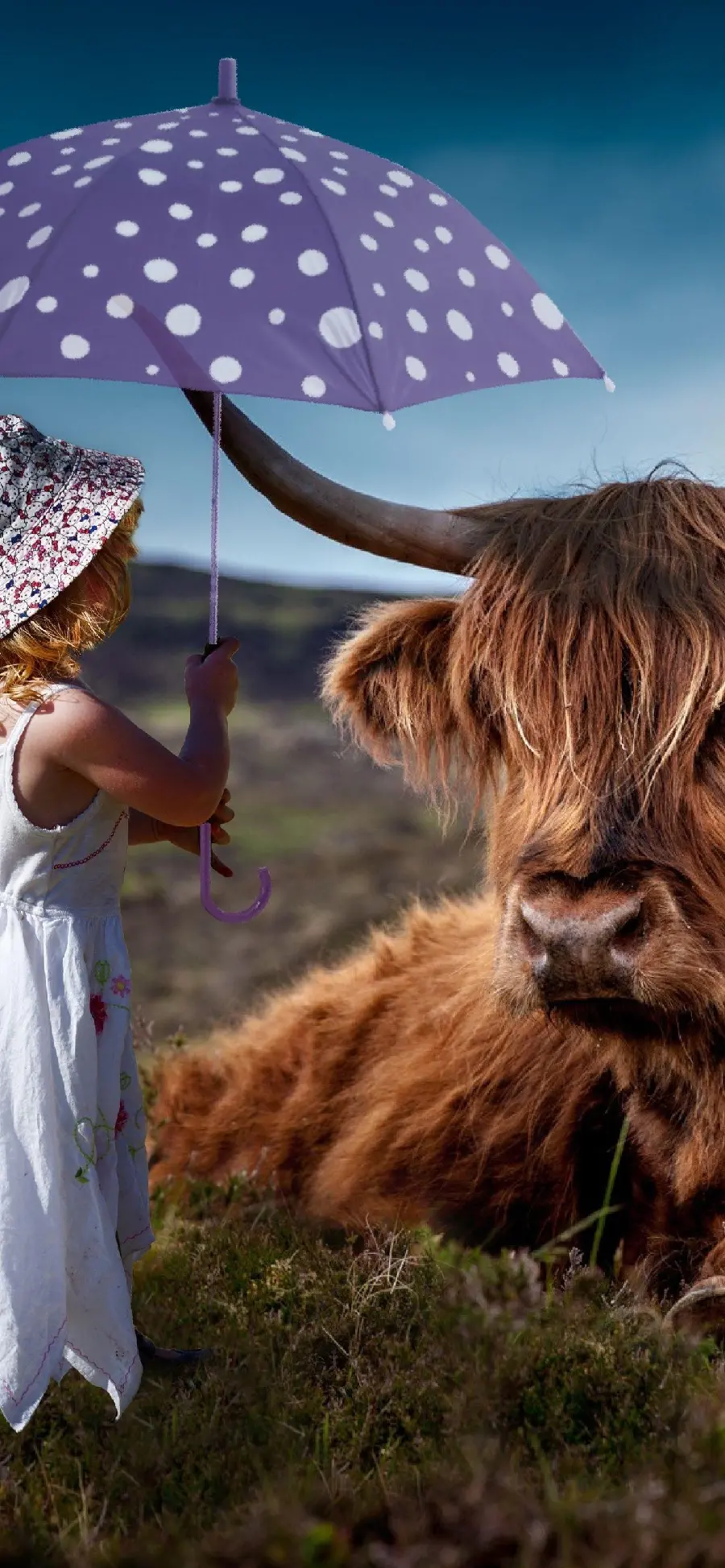 عکس زمینه گاو و دخترک کیوت برای سامسونگ و آیفون
