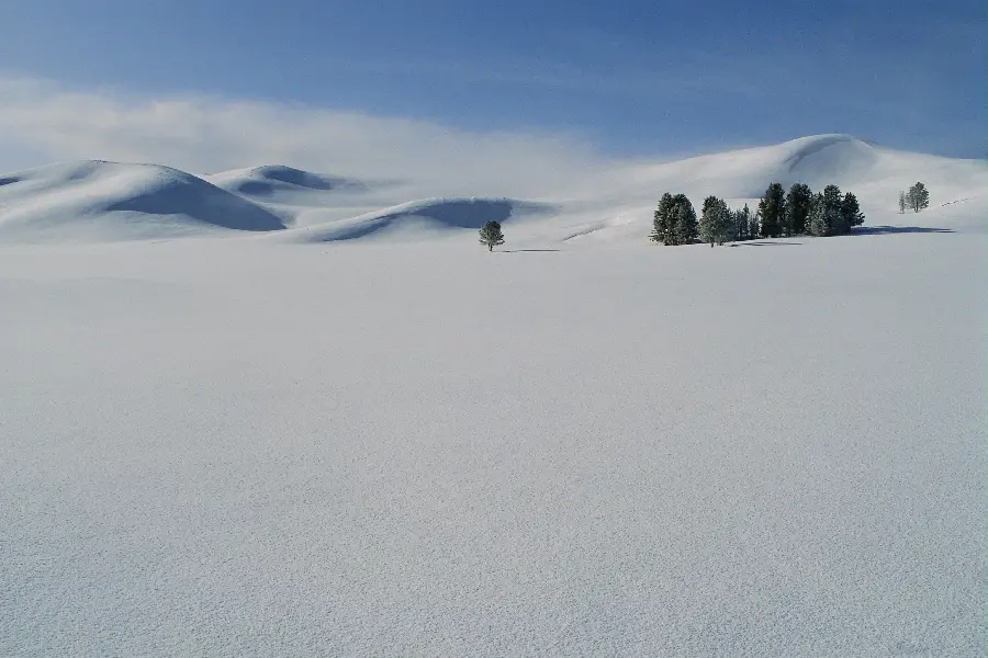 فصل زمستان و برف در دنیای طبیعی