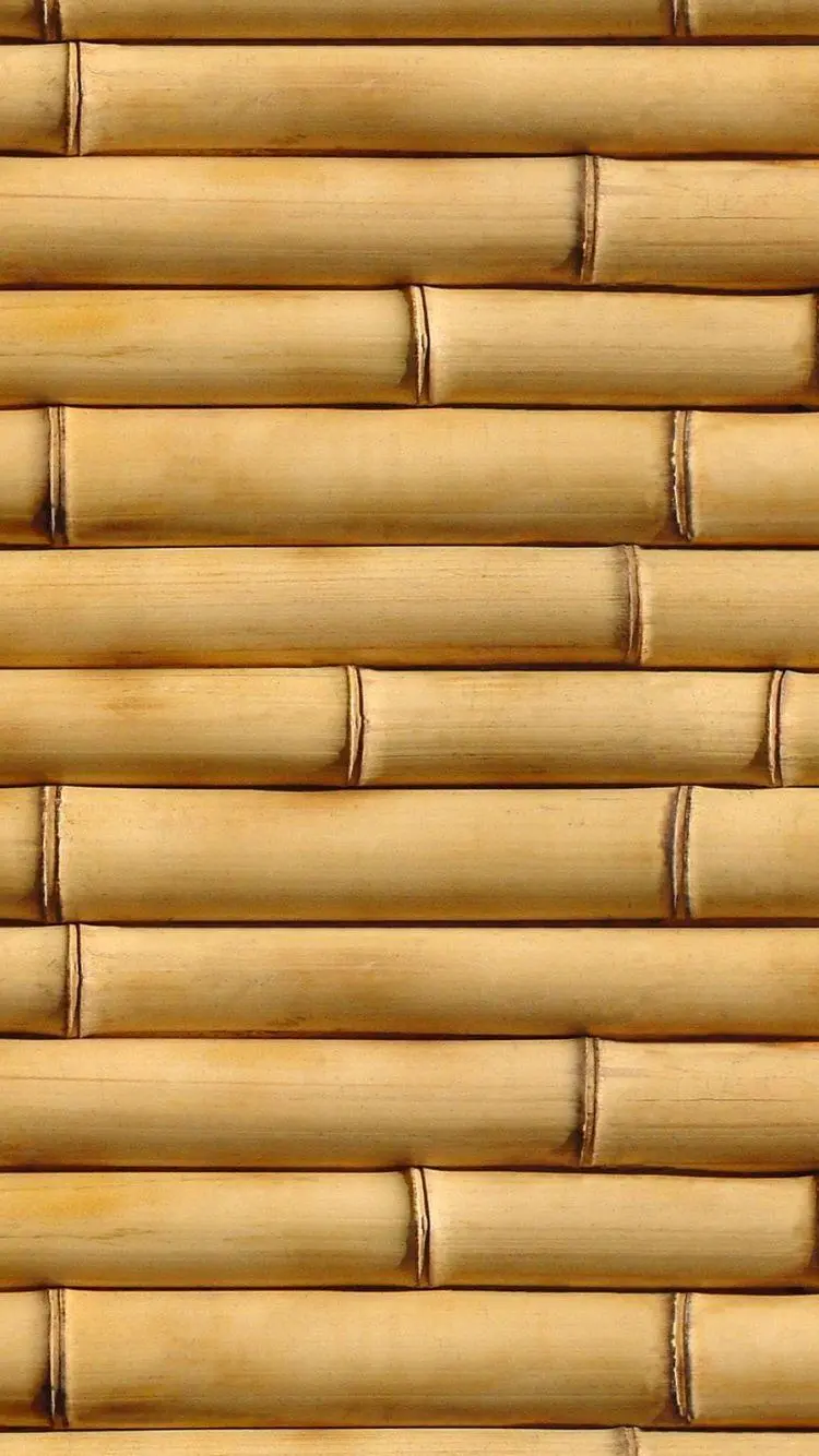 بک گراند چوب‌های بامبو دانلود رایگان با کیفیت فول اچ دی