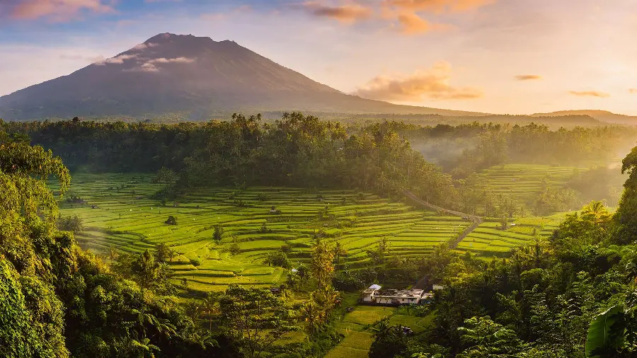 دانلود رایگان تصویر زمینه از طبیعت سرسبز بالی با کیفیت بالای 8k