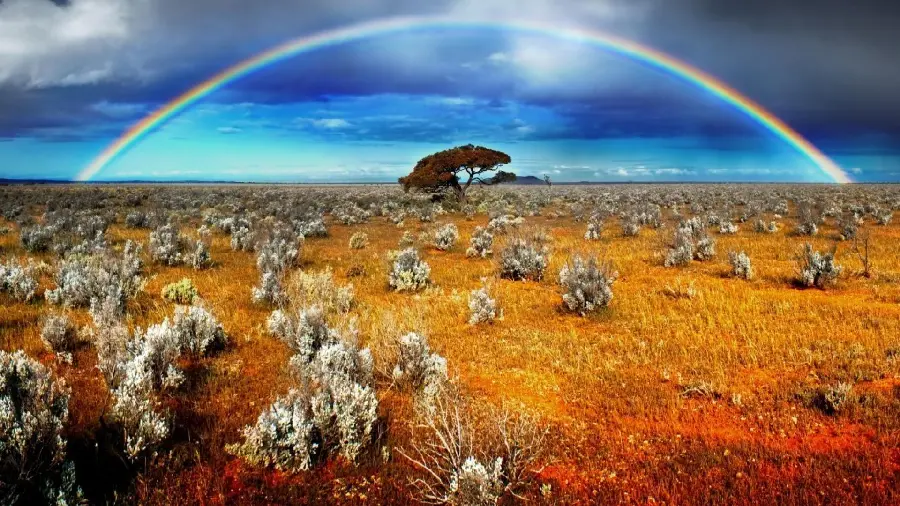 دانلود رایگان عکس منظره استرالیا با رنگین کمان منحنی