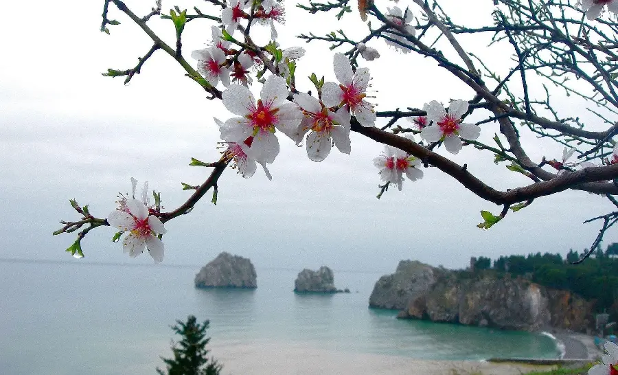 فصل بهار