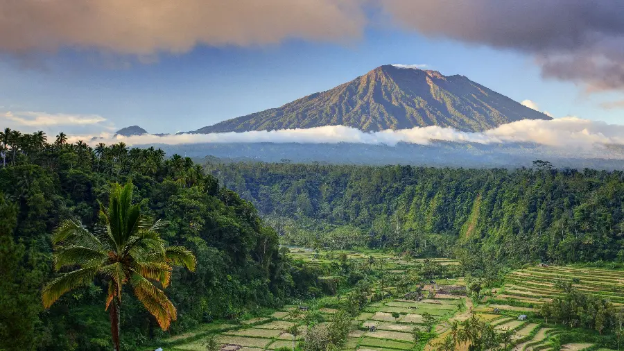 عکس کوه و جنگل‌های طبیعت بالی اندونزی