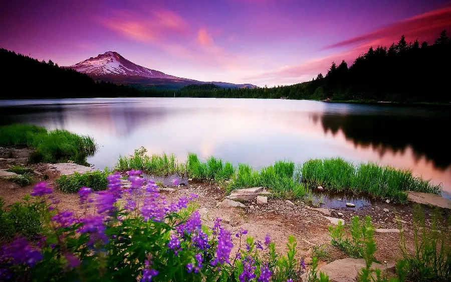 فصل بهار