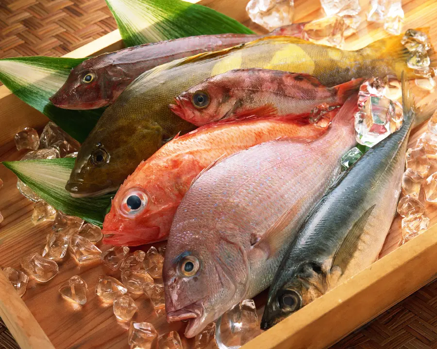 عکس استوک غذا دریایی با کیفیت بالا