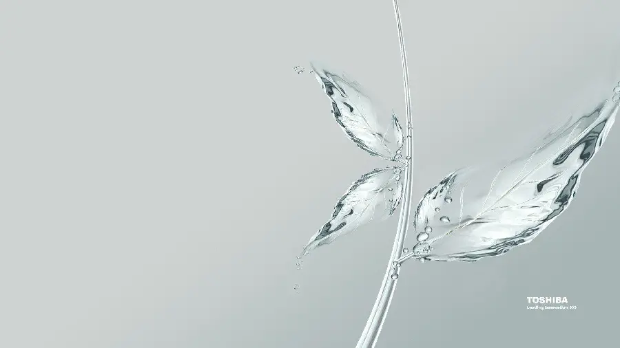 تصویر شاخه گل شیشه‌ای شفاف
