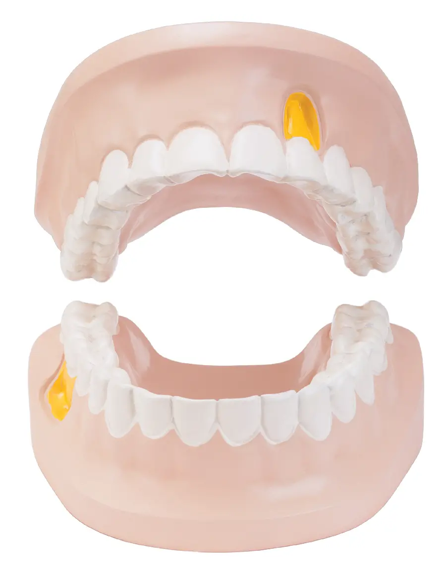 عکس مولاژ دهان و دندان با کیفیت بالا