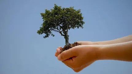 پوستر طراحی شده درخت در دست برای روز درختکاری