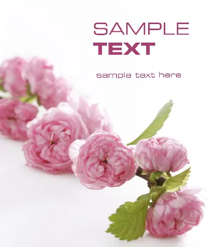 بک گراند عاشقانه خفن