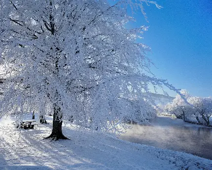 عکس مناظر برفی