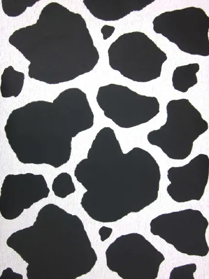 دانلود عکس الگوی گاو سیاه سفید با کیفیت بالا و رایگان