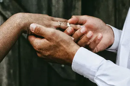 دست های عروسی در حال حلقه با کیفیت بالا
