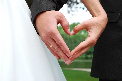دست های عروسی عروس و داماد دست‌های به شکل قلب تصویر با کیفیت بالا جهت ایده