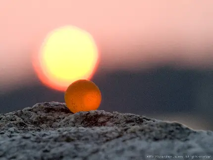 عکس سنگ شیشه دریایی نارنجی رنگ در غروب خورشید شفاف