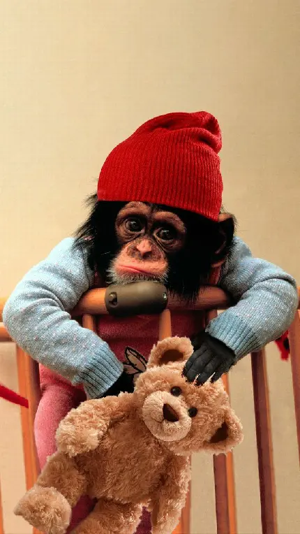 میمون دماغ دراز ویکی پدیا