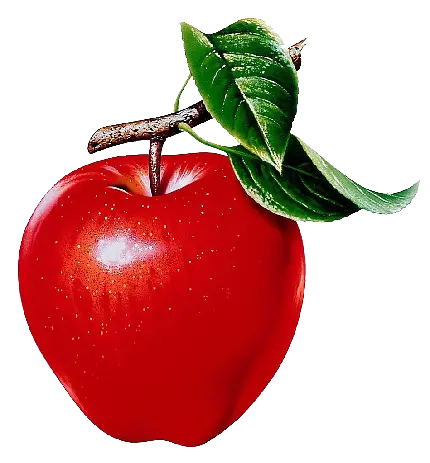 عکس با کیفیت از سیب قرمز و برگ‌های سبز بدون پس زمینه