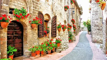 تصویر زمینه با کیفیت از خیابان ایتالیا با گلدان‌های گل در کنار دیوار