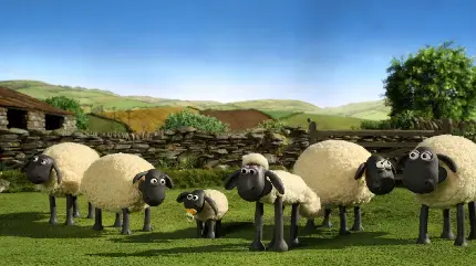 دانلود تصویر کارتونی گوسفندهای سفید پشمالو