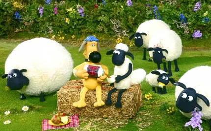 تصویر گوسفندهای کارتونی در مزرعه حیوانات
