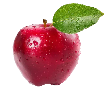 PNG تک سیب قرمز با قطره‌های آب روی برگ و سیب