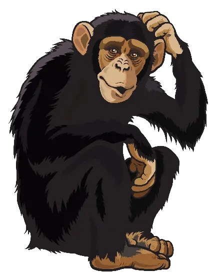 تصویر نقاشی شاپانزه کوچولو برای دانلود
