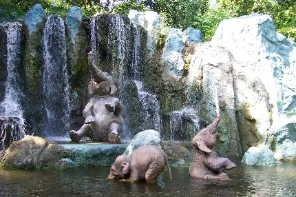 تصویر بچه فیل‌های بامزه در باغ وحش