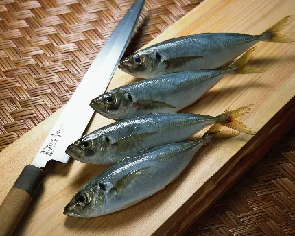 عکس ماهی و غذا دریایی