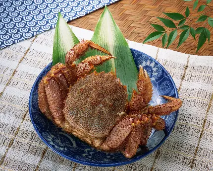 غذا دریایی خرچنگ
