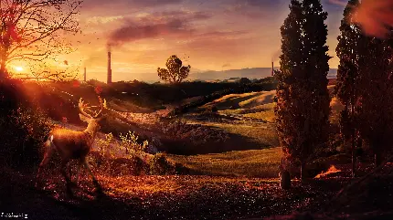 عکس کریسمس زیبا