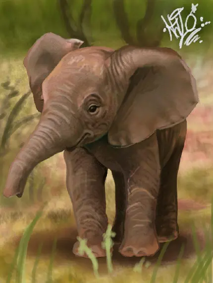 تصویر سه بعدی بچه فیل