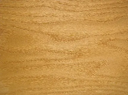 تکسچر و بافت چوبی برای دانلود رایگان