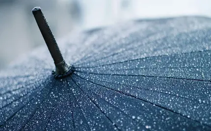 عکاسی از قطره‌های باران روی چتر مخصوص تصویر زمینه و بک گراند