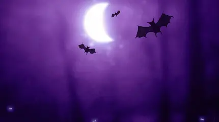 عکس خفاش در شب