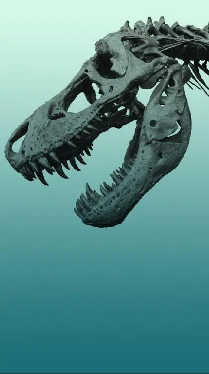 عکس اسکلت جمجمه سر دایناسور برای تصویر زمینه گوشی موبایل