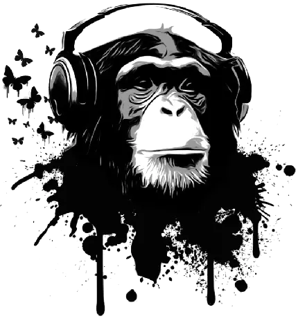 تصویر png شاپانزه دیجی برای چاپ روی کاغذ و تیشرت