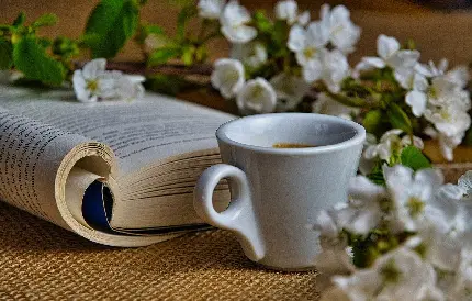 قهوه بهاری کنار گل‌های سفید و کتاب قطور برای پروفایل