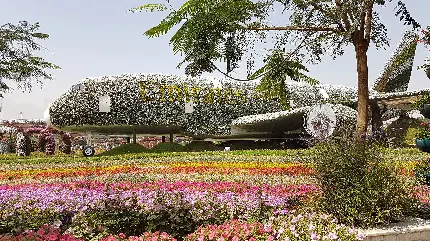 پارک گل‌ها در دبی عکس 6K