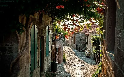 خیابان ایتالیا سنگ فک شده باریک با گل‌های روییده روی دیوار