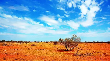 عکس منظر بیابان های استرالیا با آسمان آبی