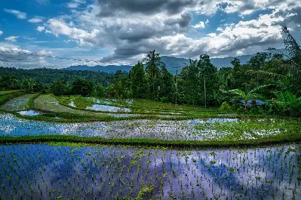 دانلود تصویر با کیفیت بالا از طبیعت بالی اندونزی