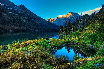 عکس منظره دریاچه فوق العاده کنار جنگل و کوه