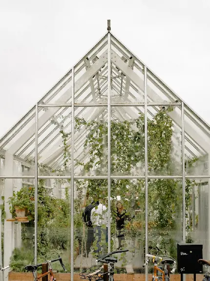 عکس گلخانه با سقف و دیوارهای شیشه‌ای