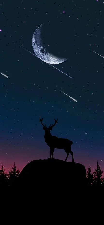 دانلود والپیپر مشکی گوزن در شب مهتابی برای سامسونگ و آیفون