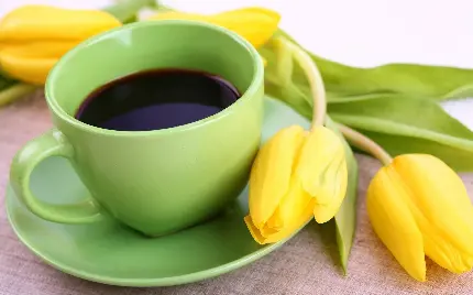 تصویر گل لاله زرد کنار فنجان سبز قهوه با کیفیت بالا