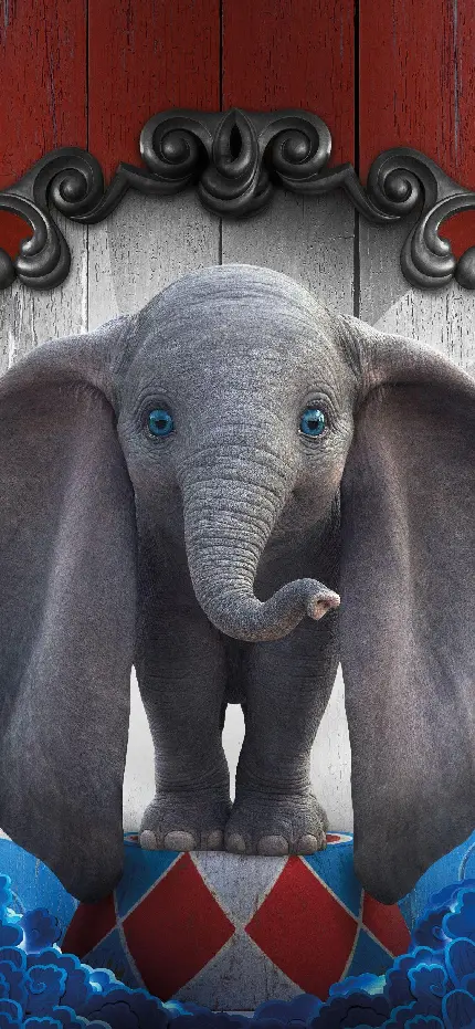 تصویر زمینه بچه فیل کیوت و بامزه برای سامسونگ آیفون