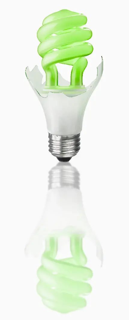 عکس هنری تقابل لامپ پر مصرف در مقابل لامپ کم مصرف