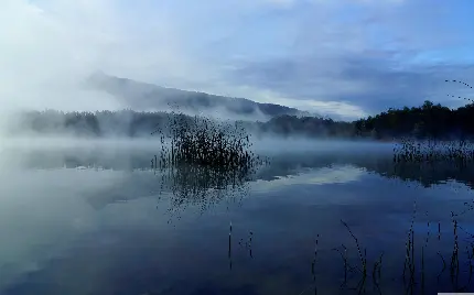 تصویر منظره دریاچه با مه صبحگاهی
