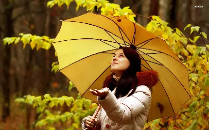 تصویر پاییزی از دختر با چتر زرد زیر باران عکس پروفایل
